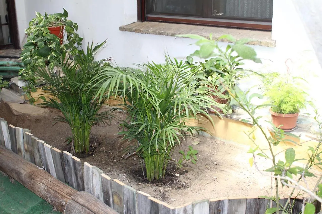 בית כפרי צ'יקלנה דה לה פרונטרה Casa Rural Los Pepe Sancti Petri ספרד