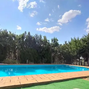 Pozuelo 1 Jabugo