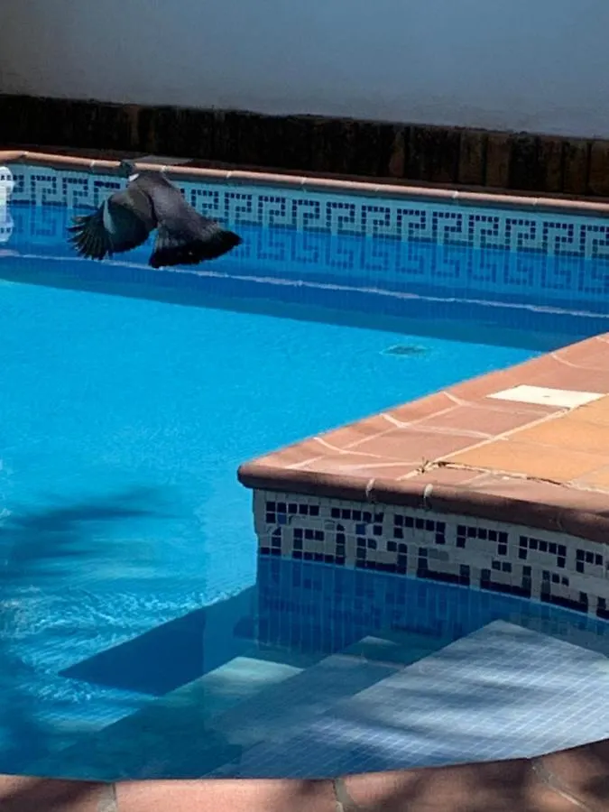Casa Rural Los Pepe Sancti Petri Chiclana de la Frontera 0*,  Ισπανία