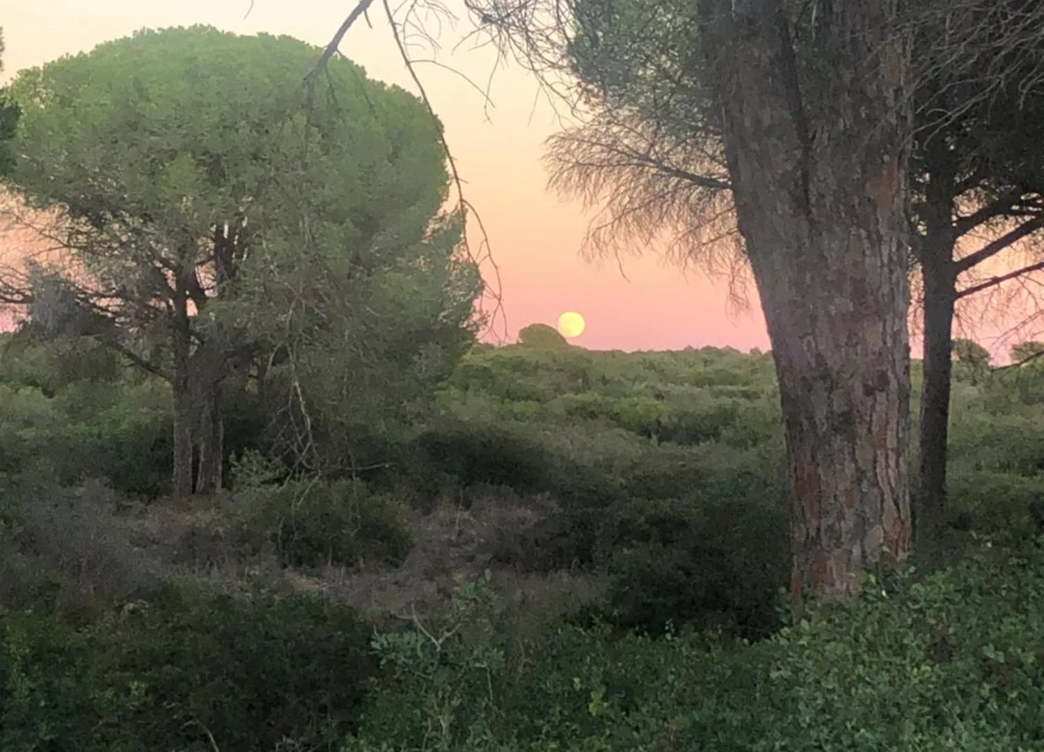 Casa Rural Los Pepe Guest House Chiclana de la Frontera Spain