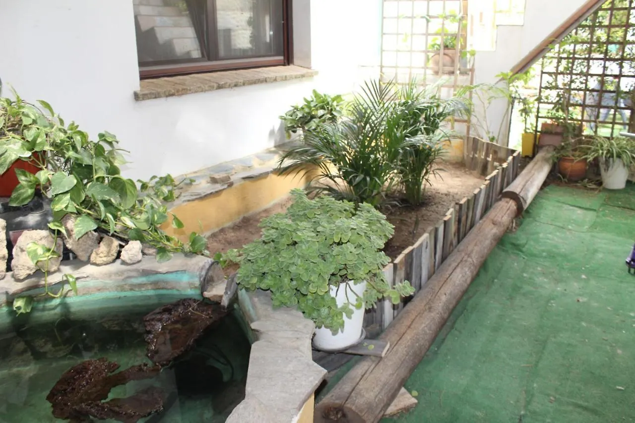 Casa Rural Los Pepe Guest House Chiclana de la Frontera 0*,  Spain